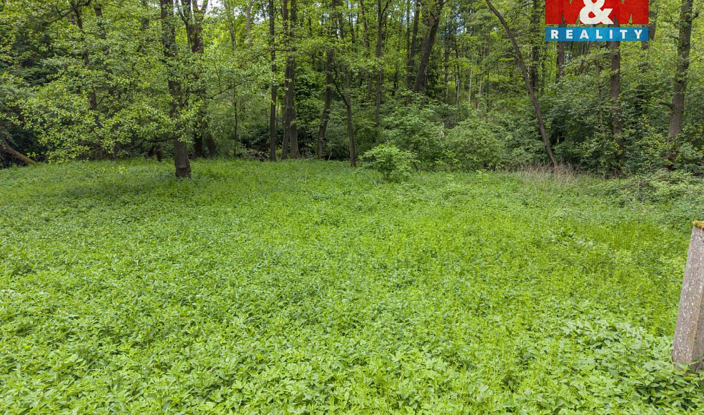 Prodej lesa 491 m², Červené Pečky – náhled fotky 5