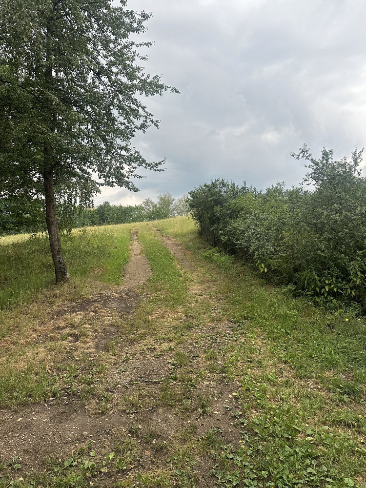 Prodej pozemku 3 546 m² — photo 2