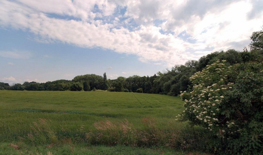 Prodej pole 4 623 m², Květnice – náhled fotky 6