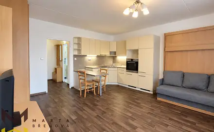Pronájem bytu 1+kk 33 m²