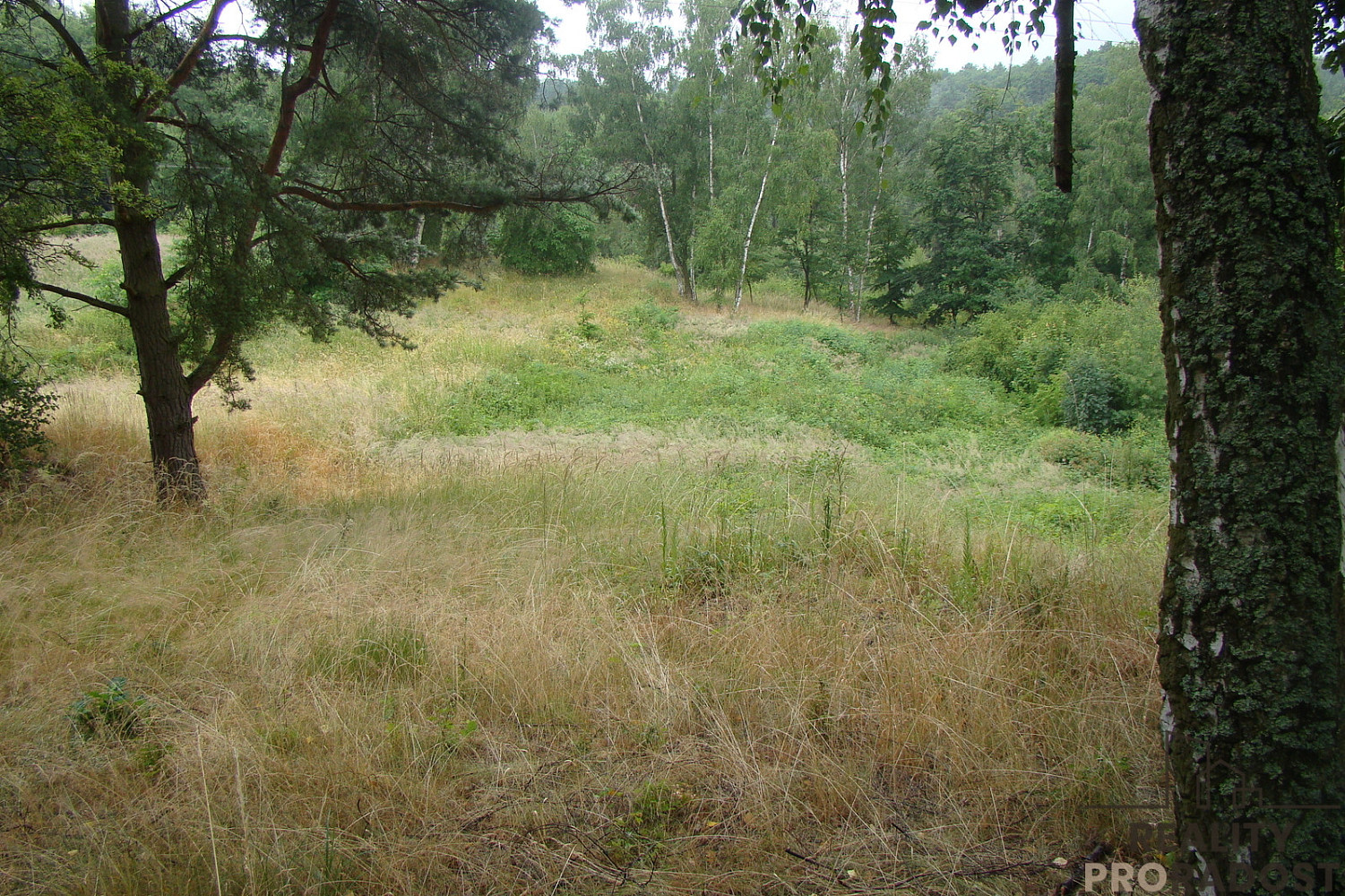 Prodej zahrady 2 000 m² – fotografie 5