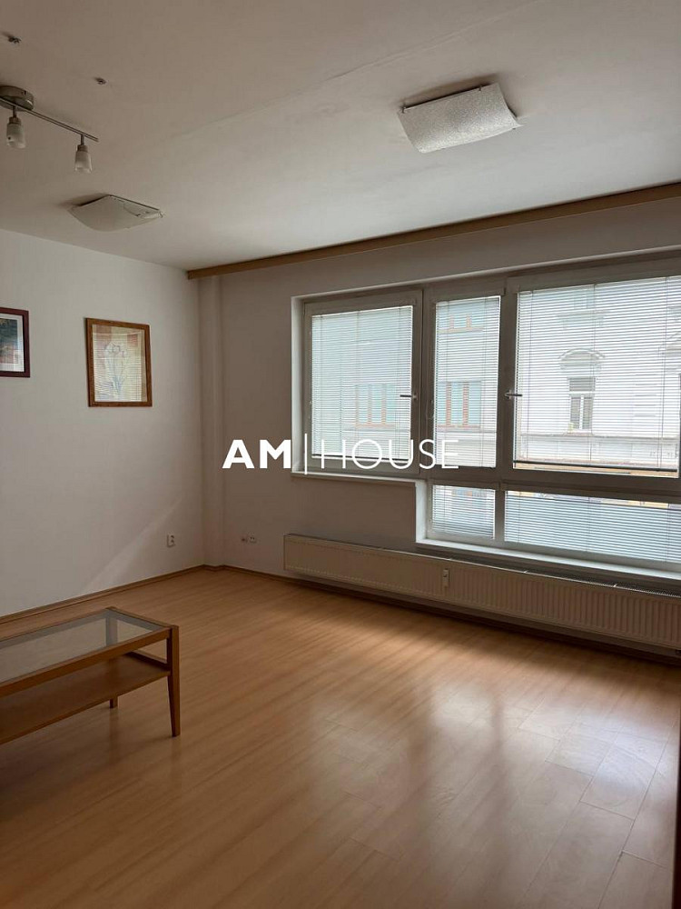 Pronájem bytu 1+kk 29 m² – fotografie 4