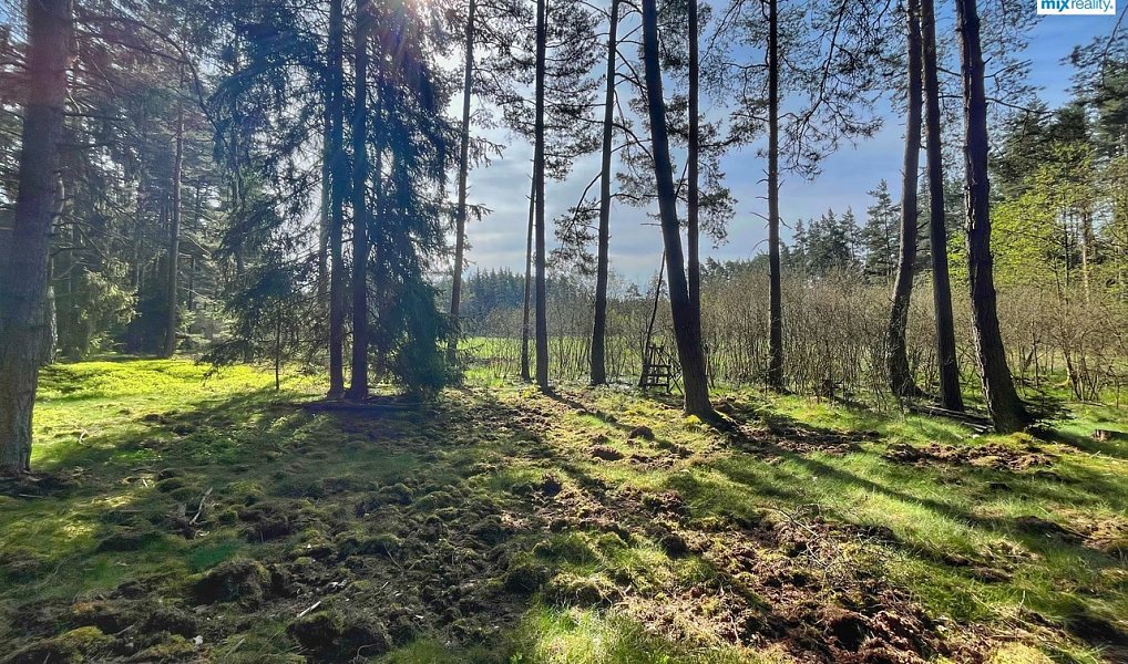 Prodej vodní plochy 16 545 m², Trstěnice – náhled fotky 13