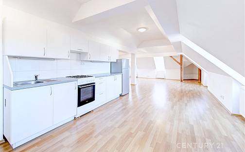 Pronájem bytu 3+kk 140 m², Tůmova, Praha 5 - Košíře, okres Praha