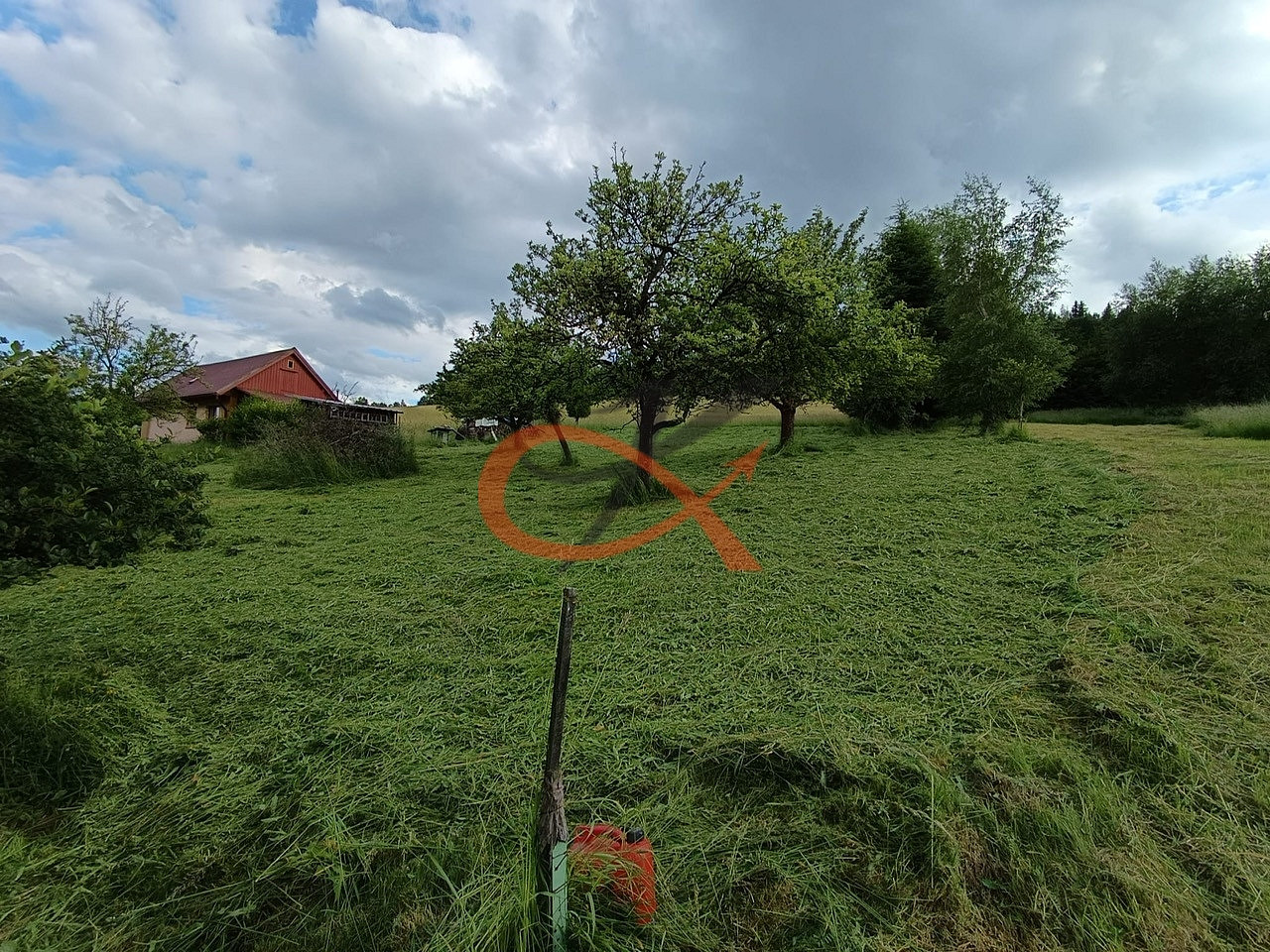 Fotka 9 z 19