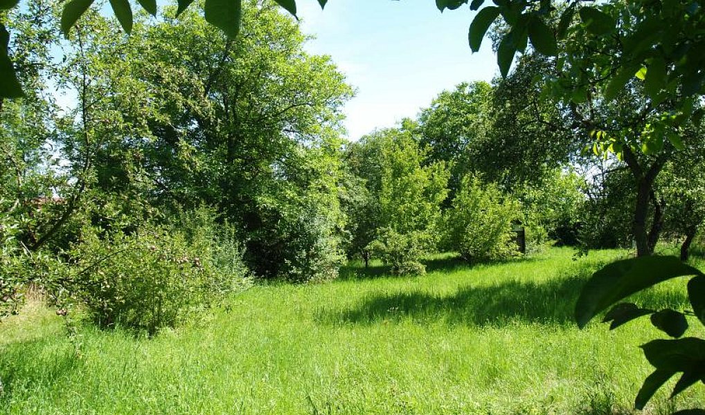 Prodej pozemku, 1635 m², Suchdol - Praha 6, Praha