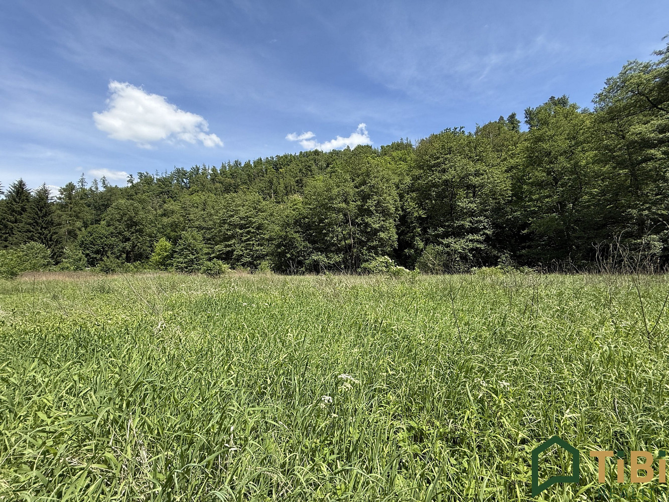 Prodej louky 3 200 m²