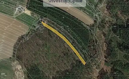 Prodej lesa 1 395 m², Šemberova, Boskovice, okres Blansko