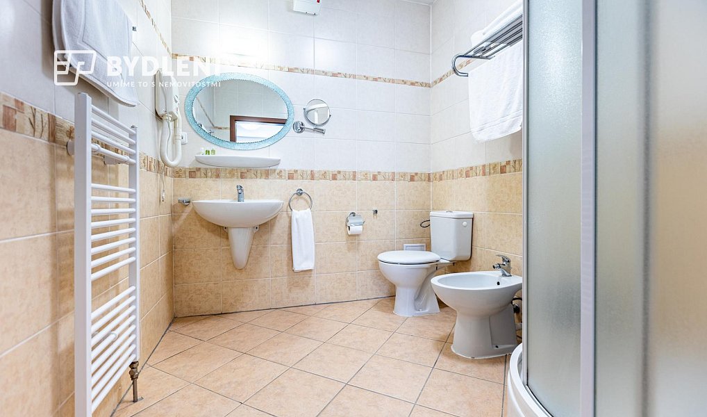 Pronájem bytu 3+kk 100 m², Teplice – náhled fotky 8