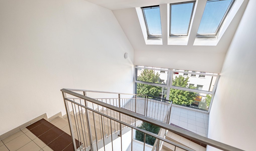 Prodej bytu 5+kk 199 m², Plzeň – náhled fotky 8