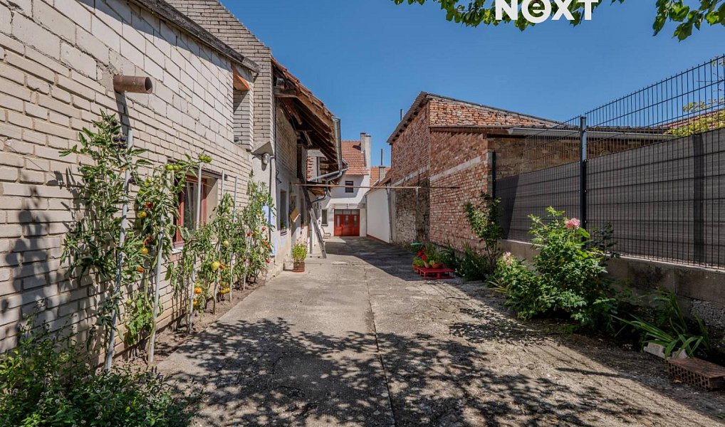 Prodej domu 240 m² s pozemkem 1 150 m², Boršice u Blatnice – náhled fotky 23