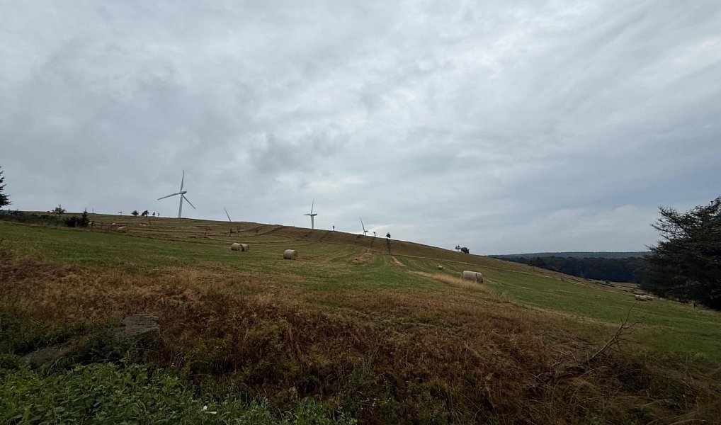 Prodej stavebního pozemku 3 241 m², Nová Ves v Horách – náhled fotky 3