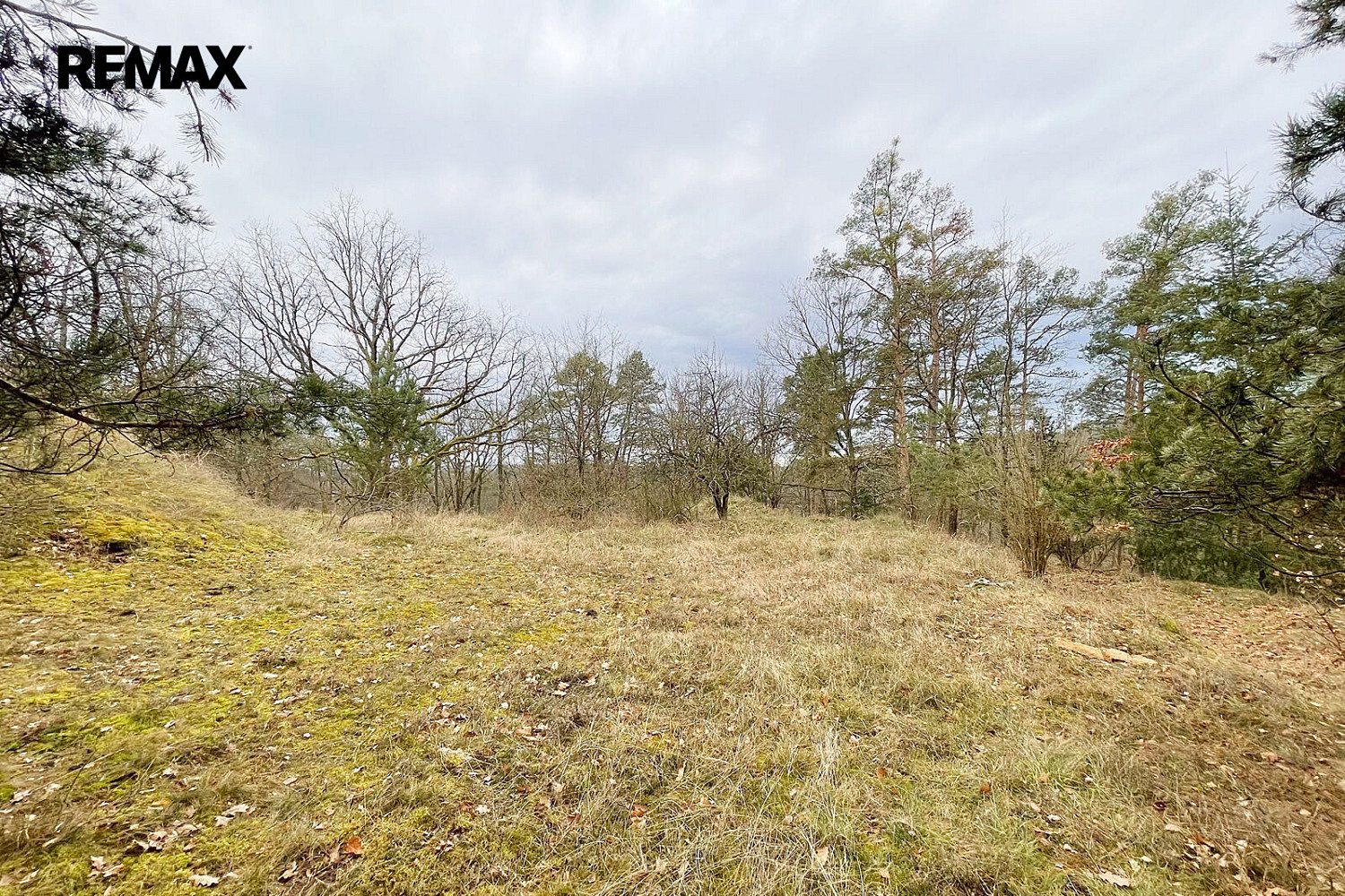 Prodej komerčního pozemku 2 467 m² – fotografie 2