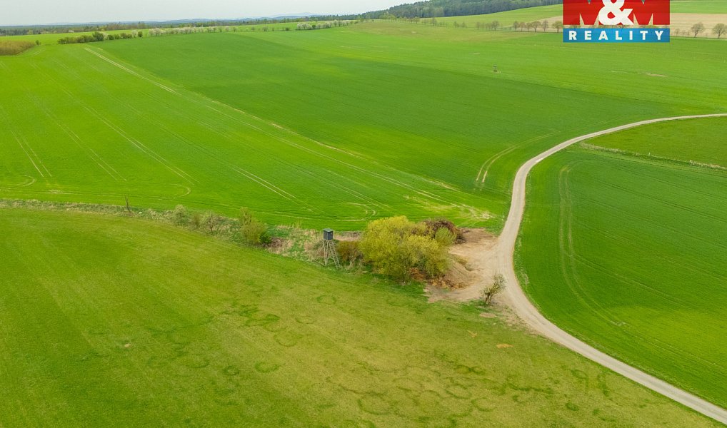 Prodej louky 730 m², Olešnice – náhled fotky 5