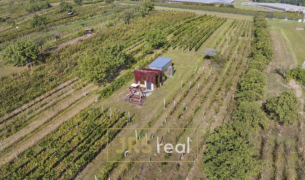 Prodej Vinného sklepa v Mutěnicích pod Dubňanskou horou, pozemek 2401 m2, Mutěnice – náhled fotky 9