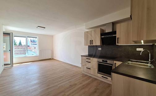 Pronájem bytu 3+kk 88 m², Riegrova, České Budějovice - České Budějovice 3