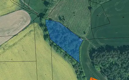 Prodej lesa 61 m², Únice, okres Strakonice