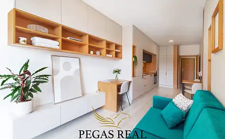 Prodej bytu 1+kk 35 m², Dornych, Brno - Trnitá