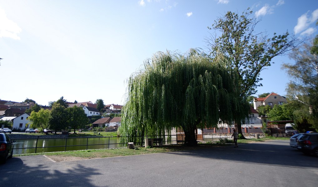 Prodej domu 122 m² s pozemkem 458 m², Holubice – náhled fotky 2