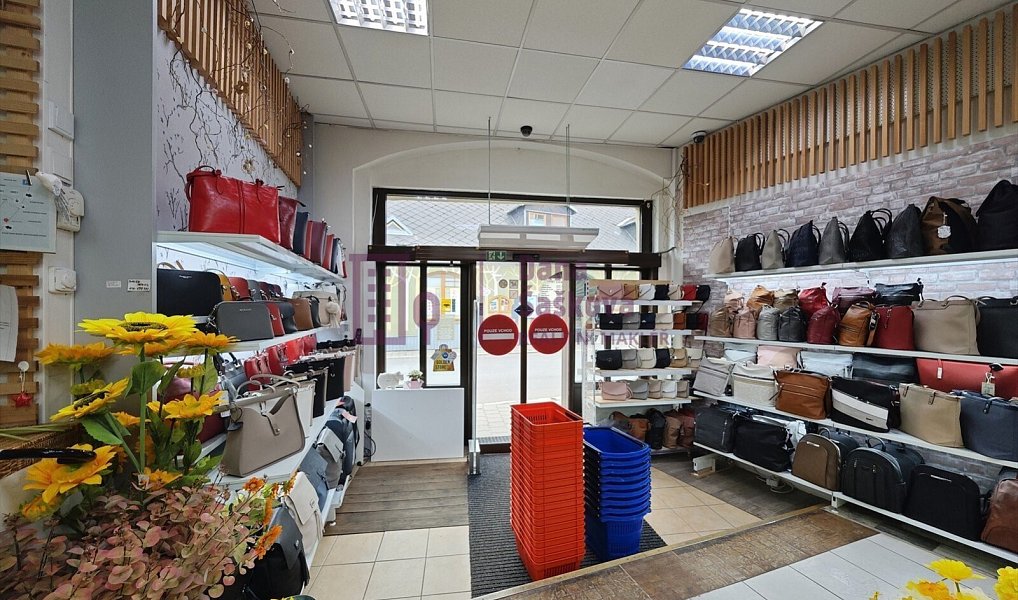 Prodej obchodních prostor 320 m², Jindřichův Hradec – náhled fotky 6