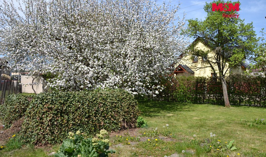 Prodej stavebního pozemku 975 m², Velké Poříčí – náhled fotky 4