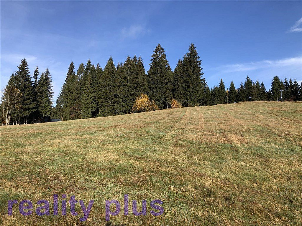 Prodej louky 6 951 m² – fotografie 2