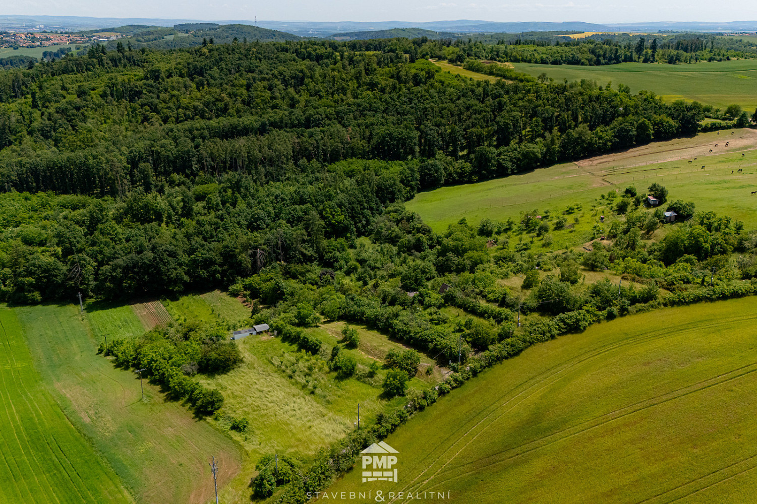 Prodej zahrady 931 m² – fotografie 5