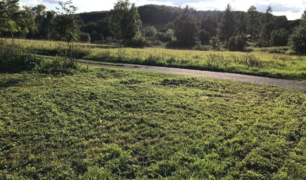 Prodej zahrady 1 851 m², Stebno – náhled fotky 4