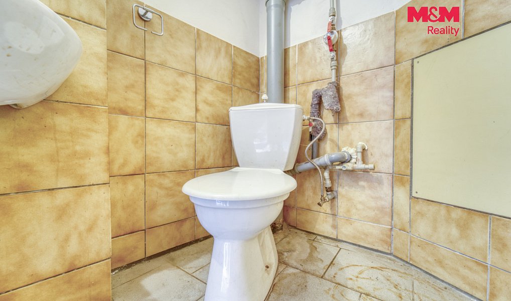 Pronájem obchodních prostor 38 m², Kralovice – náhled fotky 10
