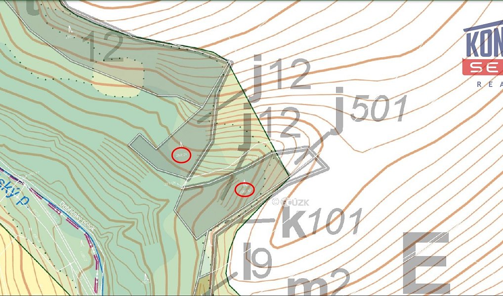 Prodej lesa 3 180 m², Kaceřov – náhled fotky 3