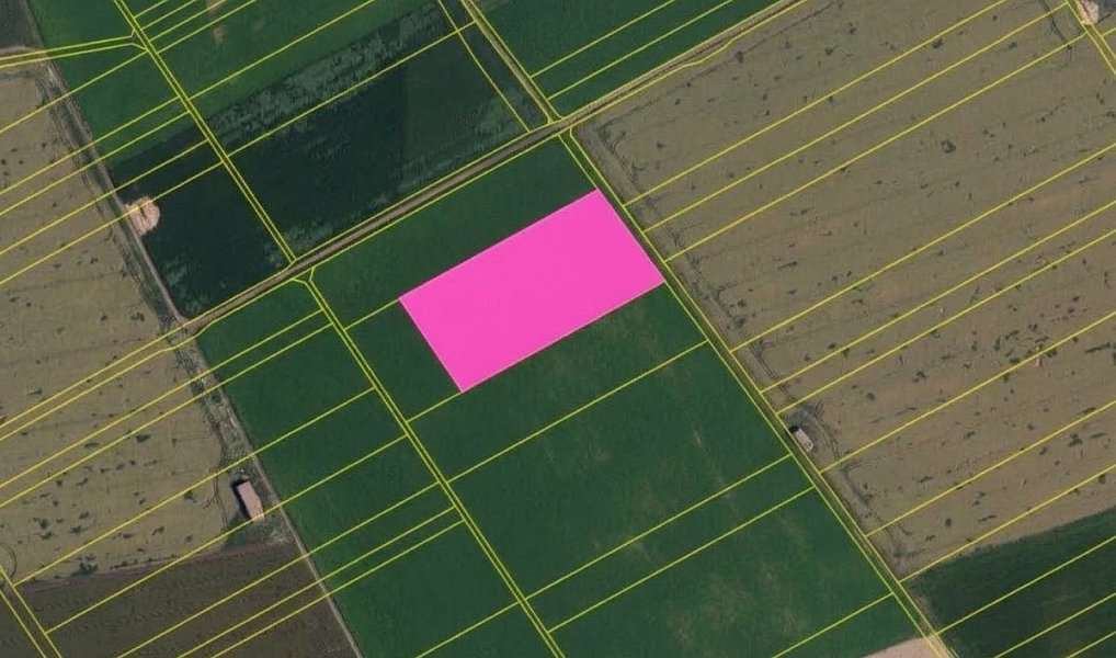Prodej pole 20 288 m², Kovalovice – náhled fotky 3