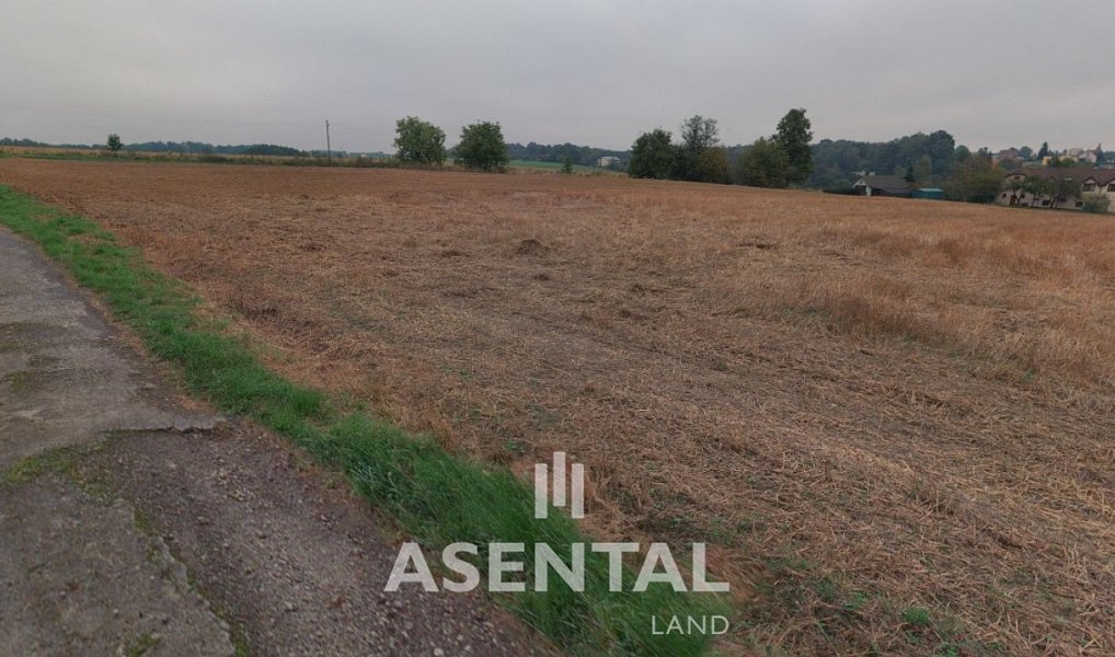 Prodej pozemku 12 432 m², Rychvald – náhled fotky 4