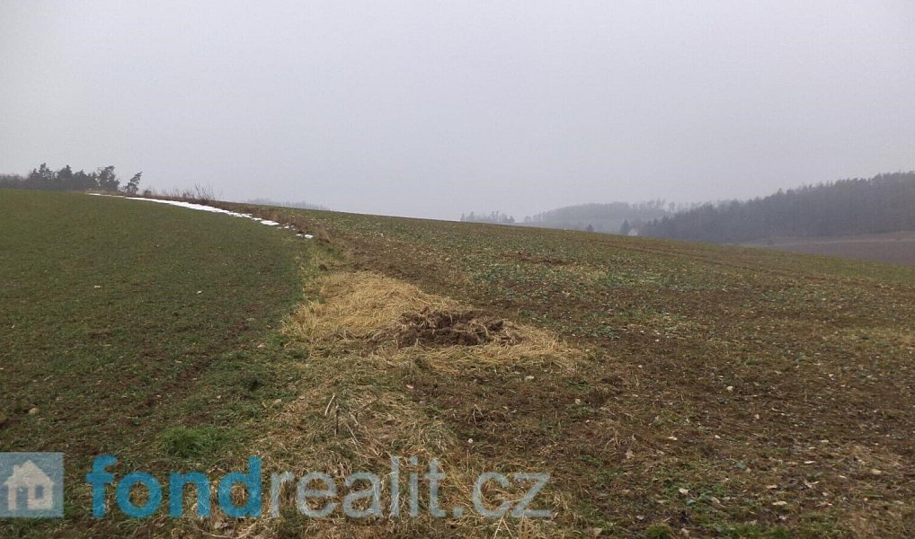 Prodej pole 41 964 m², Zvěstov – náhled fotky 5