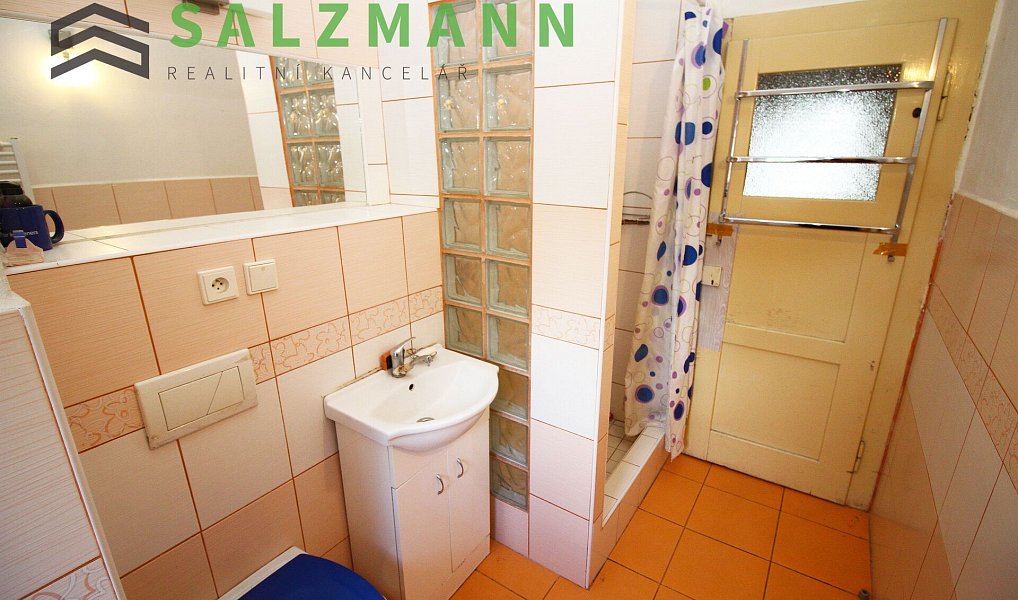 Prodej bytu 3+1 73 m², Planá – náhled fotky 16