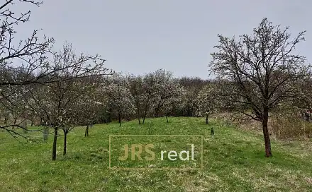 Prodej pole 4 446 m², Blučina, okres Brno-venkov