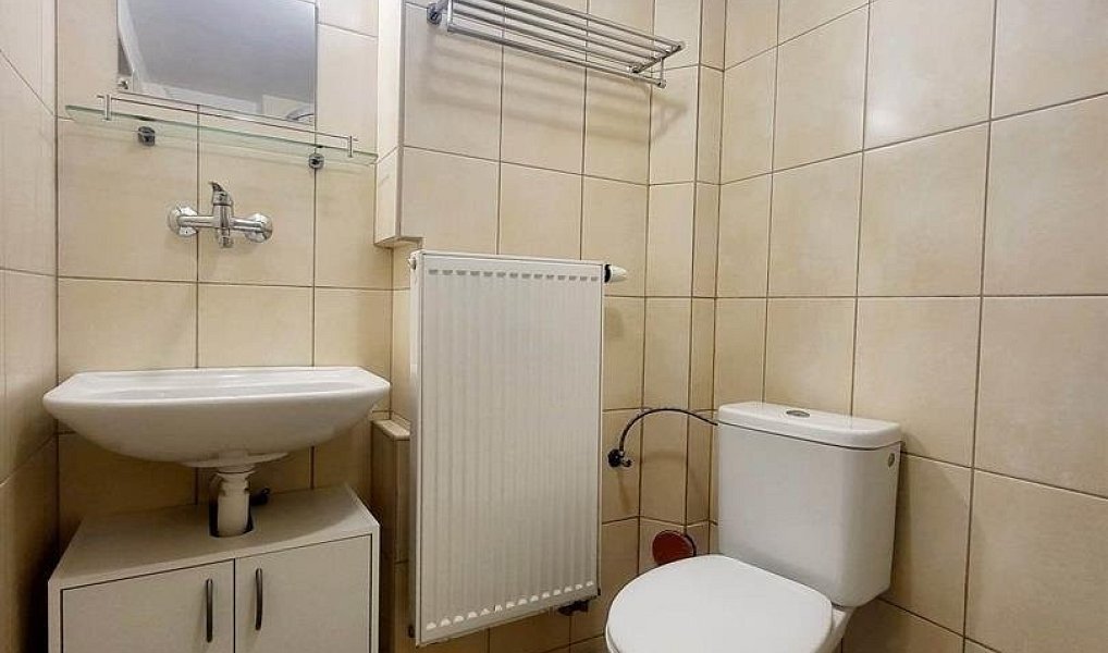 Pronájem bytu 2+1 43 m², České Budějovice – náhled fotky 8