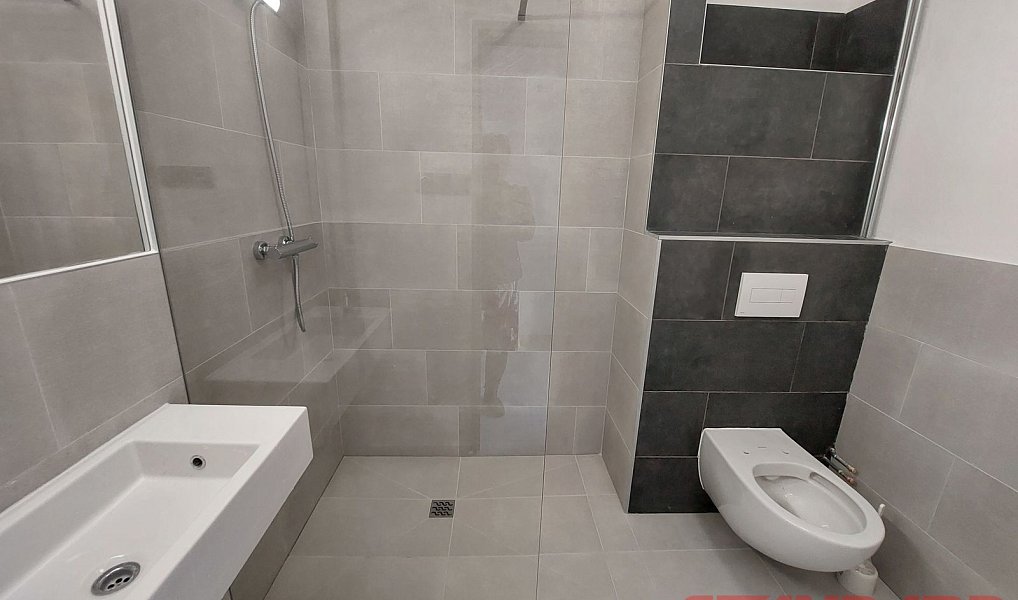 Pronájem bytu 1+1 37 m², Plzeň – náhled fotky 4