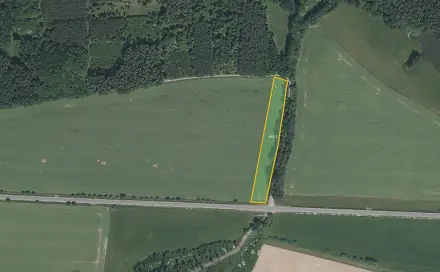 Prodej pole 7 193 m², Bernartice - Bojenice, okres Písek
