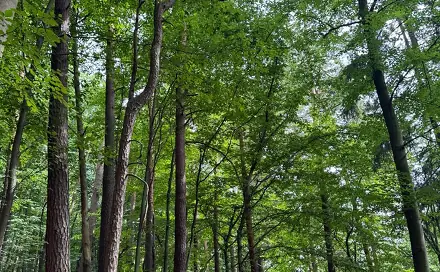 Prodej pozemku 50 672 m², Bohutín - Bučovice