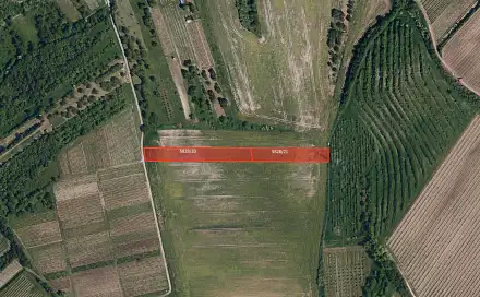 Prodej pole 24 575 m², Hustopeče, okres Břeclav