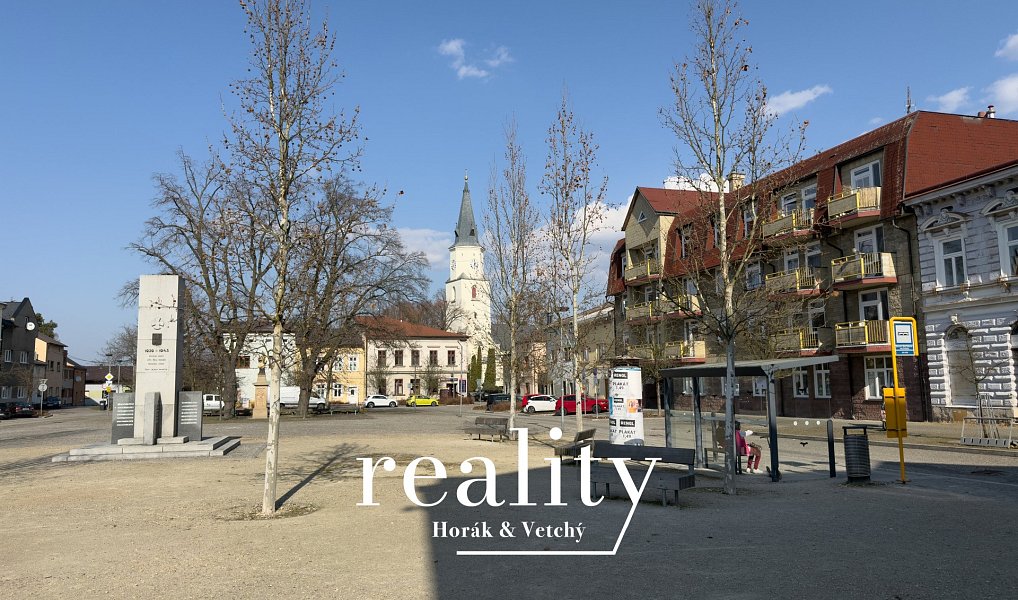 Prodej domu 513 m² s pozemkem 683 m², Bohumín – náhled fotky 31
