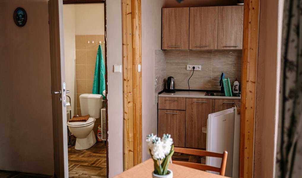 Prodej ubytovacího objektu 705 m², Chřibská – náhled fotky 6