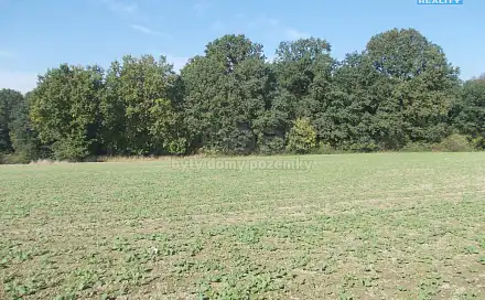 Prodej lesa 18 338 m², Ostrava - Stará Bělá