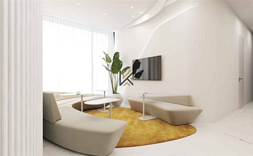 Pronájem komerčního objektu (jiného typu) 526 m²