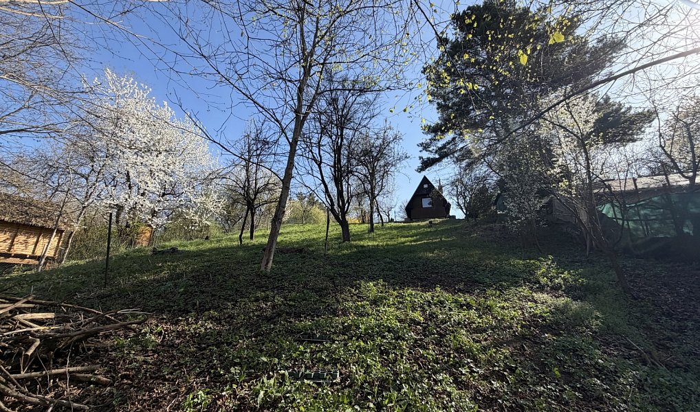Prodej chaty/chalupy 25 m² s pozemkem 733 m², Uherský Brod – náhled fotky 7