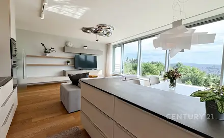 Prodej bytu 4+kk 135 m², Netroufalky, Brno - Bohunice
