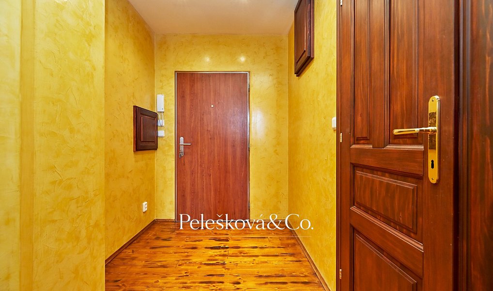 Pronájem bytu 4+kk 177 m², Praha – náhled fotky 14