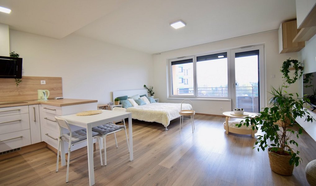 Pronájem bytu 1+kk 41 m², Olomouc – náhled fotky 19
