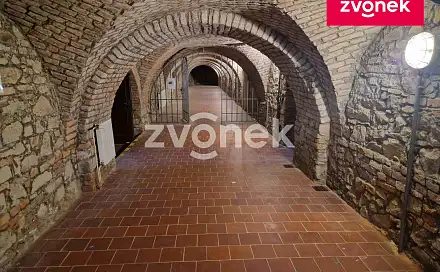 Pronájem komerčního objektu (jiného typu) 650 m², Uherské Hradiště