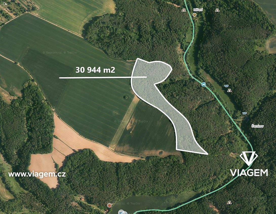 Prodej lesa 7 736 m² – fotografie 4